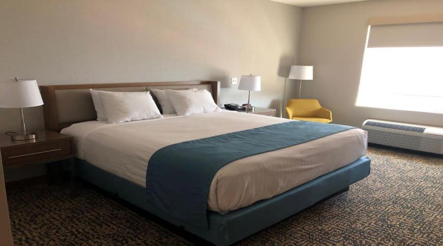 Havasu Landing Resort And Casino Havasu Lake المظهر الخارجي الصورة