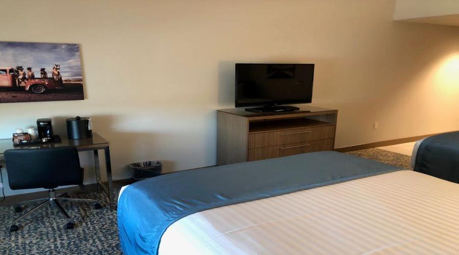 Havasu Landing Resort And Casino Havasu Lake المظهر الخارجي الصورة
